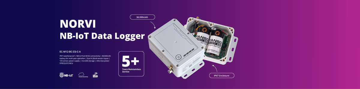Unleash Your Creativity with Programmable IoT Devices – NORVI Controllers
